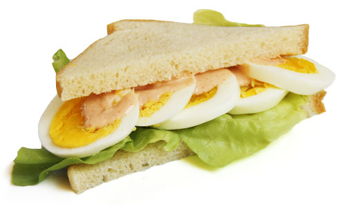 sandwich Image